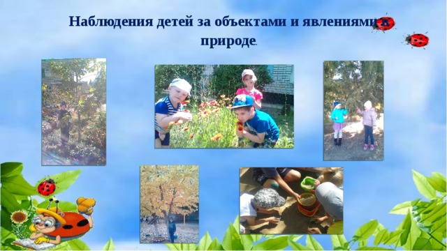 Наблюдения детей за объектами и явлениями в природе . 