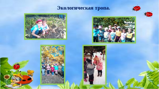 Экологическая тропа. 