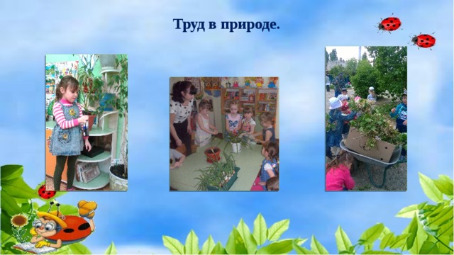Труд в природе. 