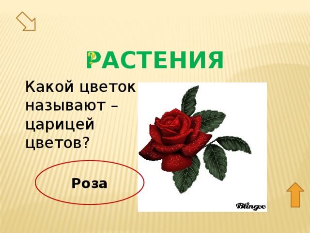 РАСТЕНИЯ Какой цветок называют – царицей цветов? 50 Роза  
