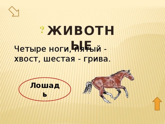 ЖИВОТНЫЕ Четыре ноги, пятый - хвост, шестая - грива. Лошадь 10  