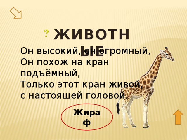 ЖИВОТНЫЕ Он высокий, он огромный,  Он похож на кран подъёмный,  Только этот кран живой, с настоящей головой. 30 Жираф  