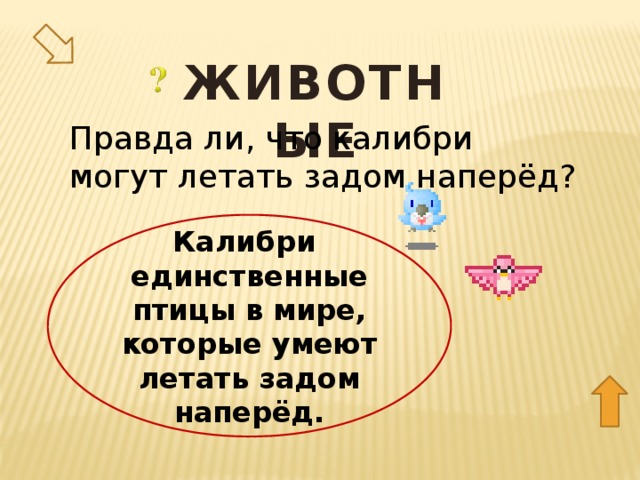 ЖИВОТНЫЕ Правда ли, что калибри могут летать задом наперёд? Калибри единственные птицы в мире, которые умеют летать задом наперёд. 40  