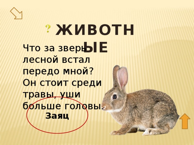 ЖИВОТНЫЕ Что за зверь лесной встал передо мной?  Он стоит среди травы, уши больше головы. 50 Заяц  
