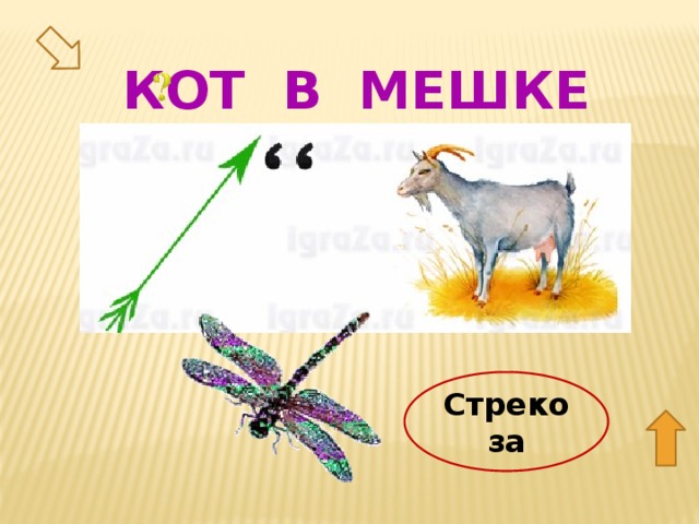 КОТ В МЕШКЕ 20 Стрекоза  