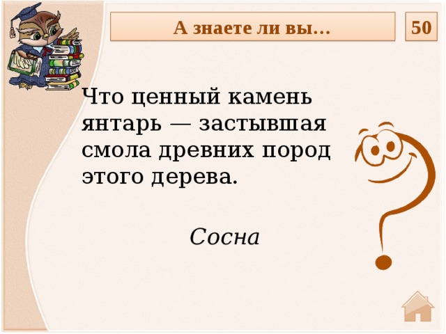 50 А знаете ли вы… Что ценный камень янтарь — застывшая смола древних пород этого дерева. Сосна  