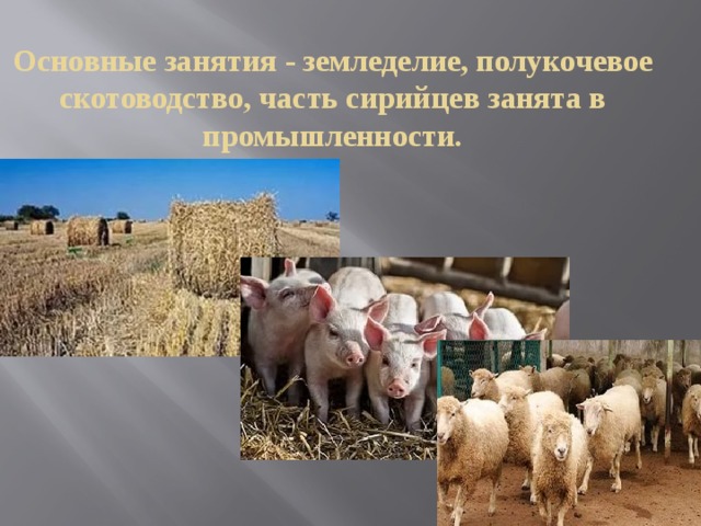 Основные занятия - земледелие, полукочевое скотоводство, часть сирийцев занята в промышленности. 
