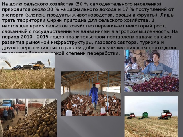 На долю сельского хозяйства (50 % самодеятельного населения) приходится около 30 % национального дохода и 17 % поступлений от экспорта (хлопок, продукты животноводства, овощи и фрукты). Лишь треть территории Сирии пригодна для сельского хозяйства. В настоящее время сельское хозяйство переживает некоторый рост, связанный с государственными вливаниями в агропромышленность. На период 2010 - 2015 годов правительством поставлена задача за счёт развития рыночной инфраструктуры, газового сектора, туризма и других перспективных отраслей добиться увеличения в экспорте доли продуктов более высокой степени переработки. 