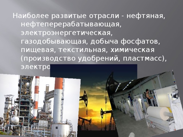 Наиболее развитые отрасли - нефтяная, нефтеперерабатывающая, электроэнергетическая, газодобывающая, добыча фосфатов, пищевая, текстильная, химическая (производство удобрений, пластмасс), электротехническая . 