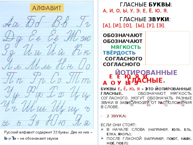 ГЛАСНЫЕ БУКВЫ : А, И, О, Ы, У, Э, Е, Ё, Ю, Я. ГЛАСНЫЕ ЗВУКИ :  [А], [И], [О], [Ы], [У], [Э]. ОБОЗНАЧАЮТ ОБОЗНАЧАЮТ  МЯГКОСТЬ  ТВЁРДОСТЬ  СОГЛАСНОГО СОГЛАСНОГО  Е Ё Ю Я И А О У Ы Э  ЙОТИРОВАННЫЕ ГЛАСНЫЕ . БУКВЫ Е , Ё , Ю , Я – ЭТО ЙОТИРОВАННЫЕ ГЛАСНЫЕ. ОБОЗНАЧАЮТ МЯГКОСТЬ СОГЛАСНОГО. МОГУТ ОБОЗНАЧАТЬ РАЗНЫЕ ЗВУКИ В ЗАВИСИМОСТИ ОТ РАСПОЛОЖЕНИЯ В СЛОВЕ. 2 ЗВУКА: ЕСЛИ ОНИ СТОЯТ: В НАЧАЛЕ СЛОВА (НАПРИМЕР, Ю ЛА, Е ЛЬ, Ё ЛКА, Я КОРЬ) ; ПОСЛЕ ГЛАСНОЙ (НАПРИМЕР, П ОЮ Т, М АЯ К, М ОЁ , П ОЕ Л) ; ПОСЛЕ Ь И Ъ (НАПРИМЕР, П ЬЮ Т, Л ЬЁ Т, В ЪЕ ЗД, ИЛ ЬЯ ) .  - 1  ЗВУК: Е – [Э], Ё – [О], Ю – [У], Я – [А]. ЕСЛИ ОНИ СТОЯТ ПОСЛЕ СОГЛАСНЫХ. Русский алфавит содержит 33 буквы. Две из них – ь и Ъ – не обозначают звуков. 