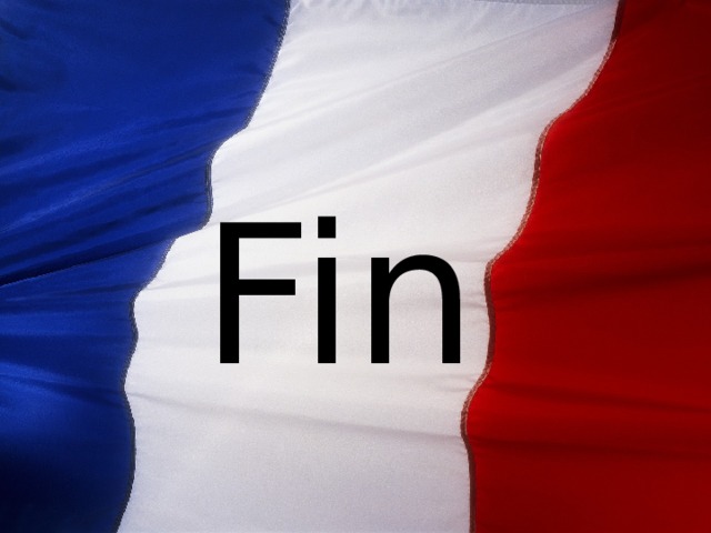Fin 