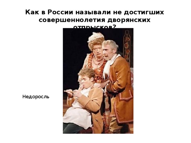 Как в России называли не достигших совершеннолетия дворянских отпрысков? Недоросль 