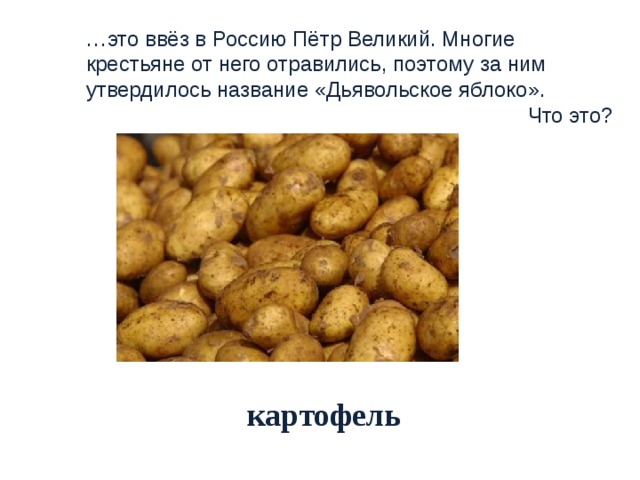 … это ввёз в Россию Пётр Великий. Многие крестьяне от него отравились, поэтому за ним утвердилось название «Дьявольское яблоко». Что это?  картофель 