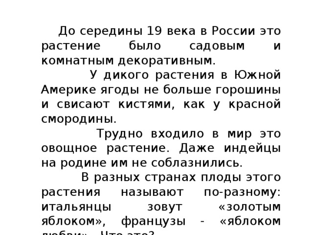  До середины 19 века в России это растение было садовым и комнатным декоративным.  У дикого растения в Южной Америке ягоды не больше горошины и свисают кистями, как у красной смородины.  Трудно входило в мир это овощное растение. Даже индейцы на родине им не соблазнились.  В разных странах плоды этого растения называют по-разному: итальянцы зовут «золотым яблоком», французы - «яблоком любви». Что это? 