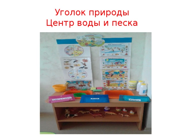 Уголок природы  Центр воды и песка 