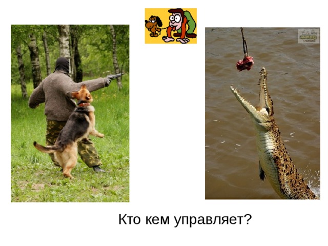 Кто кем управляет? 