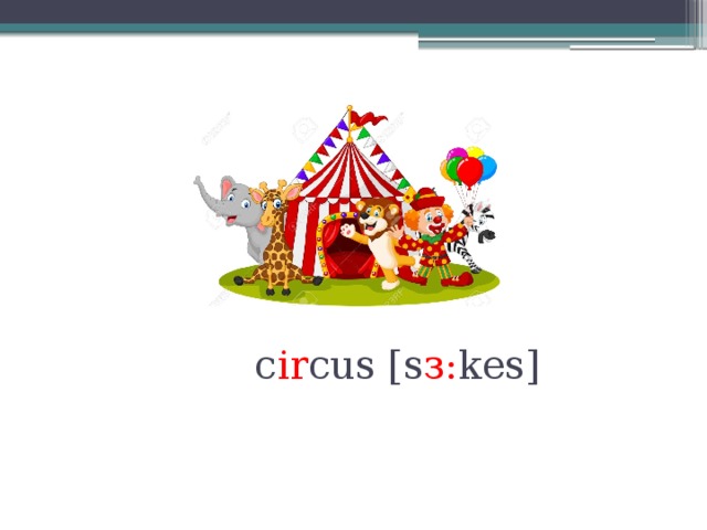     c ir cus [s з: kes] 