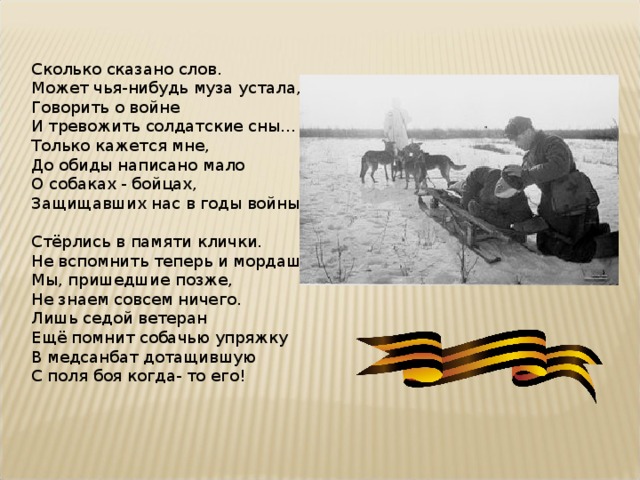 Сколько сказано слов.  Может чья-нибудь муза устала,  Говорить о войне  И тревожить солдатские сны…  Только кажется мне,  До обиды написано мало  О собаках - бойцах,  Защищавших нас в годы войны! Стёрлись в памяти клички.  Не вспомнить теперь и мордашку.  Мы, пришедшие позже,  Не знаем совсем ничего.  Лишь седой ветеран  Ещё помнит собачью упряжку  В медсанбат дотащившую  С поля боя когда- то его! 