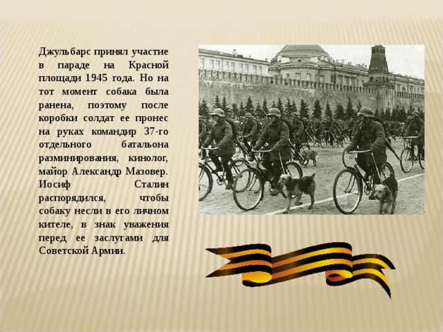 Джульбарс принял участие в параде на Красной площади 1945 года. Но на тот момент собака была ранена, поэтому после коробки солдат ее пронес на руках командир 37-го отдельного батальона разминирования, кинолог, майор Александр Мазовер. Иосиф Сталин распорядился, чтобы собаку несли в его личном кителе, в знак уважения перед ее заслугами для Советской Армии. 