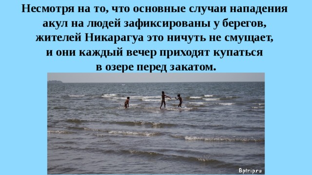 Несмотря на то, что основные случаи нападения  акул на людей зафиксированы у берегов,  жителей Никарагуа это ничуть не смущает,  и они каждый вечер приходят купаться  в озере перед закатом. 