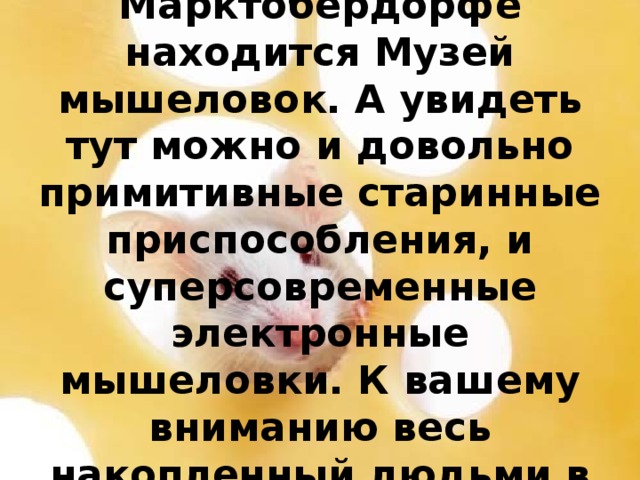 В городе Марктобердорфе находится Музей мышеловок. А увидеть тут можно и довольно примитивные старинные приспособления, и суперсовременные электронные мышеловки. К вашему вниманию весь накопленный людьми в борьбе с грызунами опыт. 