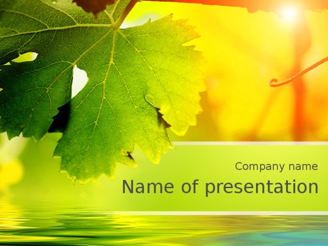 Company name Name of presentation 