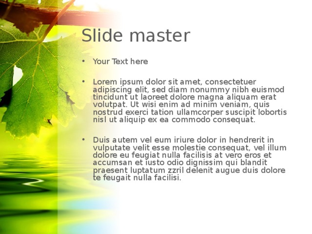 Slide master Your Text here  Lorem ipsum dolor sit amet, consectetuer adipiscing elit, sed diam nonummy nibh euismod tincidunt ut laoreet dolore magna aliquam erat volutpat. Ut wisi enim ad minim veniam, quis nostrud exerci tation ullamcorper suscipit lobortis nisl ut aliquip ex ea commodo consequat.  Duis autem vel eum iriure dolor in hendrerit in vulputate velit esse molestie consequat, vel illum dolore eu feugiat nulla facilisis at vero eros et accumsan et iusto odio dignissim qui blandit praesent luptatum zzril delenit augue duis dolore te feugait nulla facilisi.  