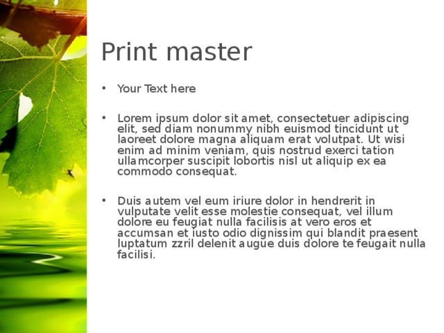 Print master Your Text here  Lorem ipsum dolor sit amet, consectetuer adipiscing elit, sed diam nonummy nibh euismod tincidunt ut laoreet dolore magna aliquam erat volutpat. Ut wisi enim ad minim veniam, quis nostrud exerci tation ullamcorper suscipit lobortis nisl ut aliquip ex ea commodo consequat.  Duis autem vel eum iriure dolor in hendrerit in vulputate velit esse molestie consequat, vel illum dolore eu feugiat nulla facilisis at vero eros et accumsan et iusto odio dignissim qui blandit praesent luptatum zzril delenit augue duis dolore te feugait nulla facilisi.  