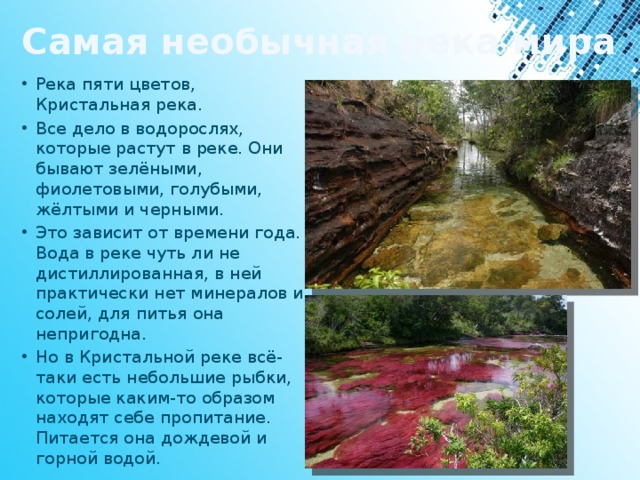 Самая необычная река мира Река пяти цветов, Кристальная река. Все дело в водорослях, которые растут в реке. Они бывают зелёными, фиолетовыми, голубыми, жёлтыми и черными. Это зависит от времени года. Вода в реке чуть ли не дистиллированная, в ней практически нет минералов и солей, для питья она непригодна. Но в Кристальной реке всё-таки есть небольшие рыбки, которые каким-то образом находят себе пропитание. Питается она дождевой и горной водой. 