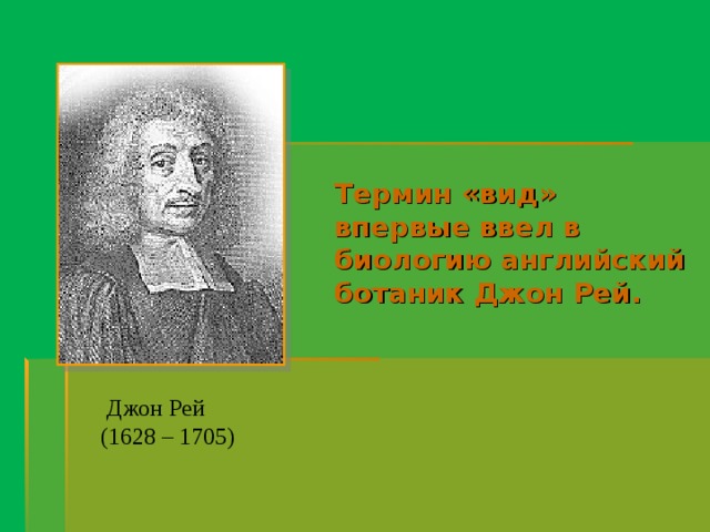 Термин «вид» впервые ввел в биологию английский ботаник Джон Рей. Джон Рей (1628 – 1705) 
