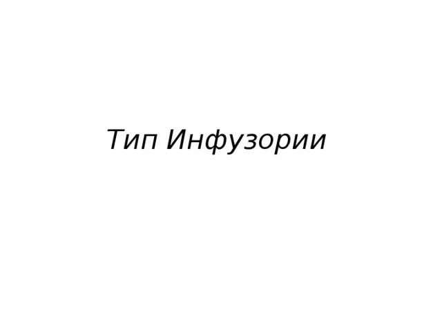 Тип Инфузории 