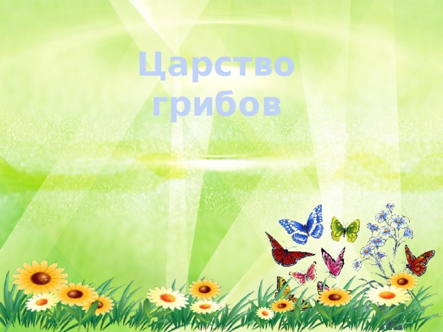 Царство грибов 