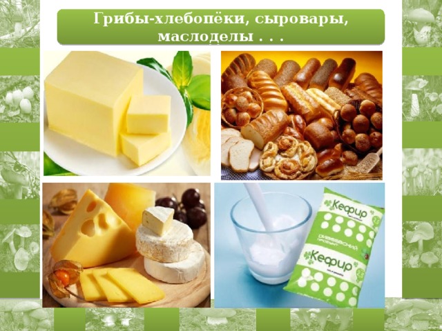 Грибы-хлебопёки, сыровары, маслоделы . . . 