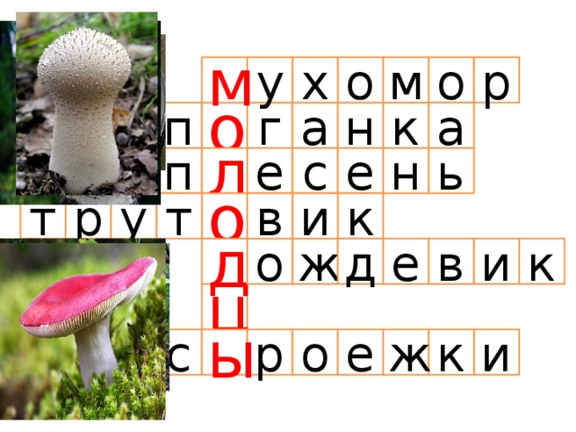 о о р м у х м п а о г а н к ь н е л с е п к т у р о т и в д д е и о ж к в ц о с ы р ж к и е 