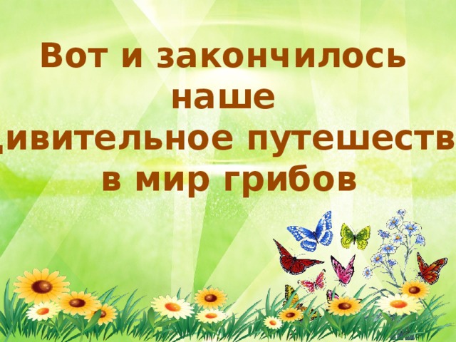 Вот и закончилось наше удивительное путешествие в мир грибов 