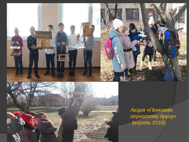 Акция «Поможем пернатому другу»  (апрель 2018) 