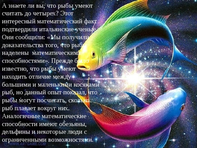 А знаете ли вы, что рыбы умеют считать до четырех? Этот интересный математический факт подтвердили итальянские ученые. Они сообщили: «Мы получили доказательства того, что рыбы наделены математическими способностями». Прежде было известно, что рыбы умеют находить отличие между большими и маленькими косяками рыб, но данный опыт показал, что рыбы могут посчитать, сколько рыб плавает вокруг них. Аналогичные математические способности имеют обезьяны, дельфины и некоторые люди с ограниченными возможностями.
