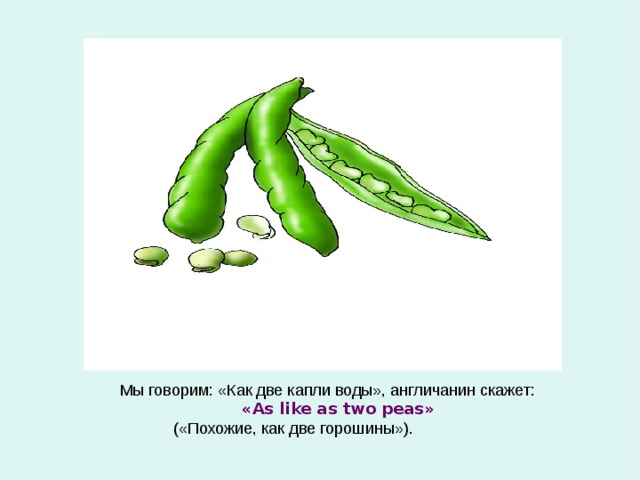 Мы говорим: «Как две капли воды», англичанин скажет:  « As like as two peas »  ( «Похожие, как две горошины»). 