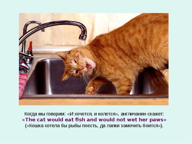 Когда мы говорим: «И хочется, и колется», англичанин скажет: « The cat would eat fish and would not wet her paws » («Кошка хотела бы рыбы поесть, да лапки замочить боится»). 