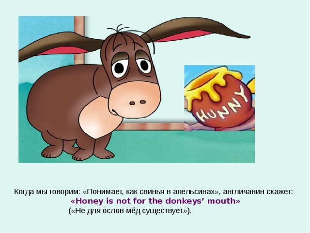 Когда мы говорим: «Понимает, как свинья в апельсинах», англичанин скажет:  « Honey is not for the donkeys’ mouth »  ( «Не для ослов мёд существует»). 