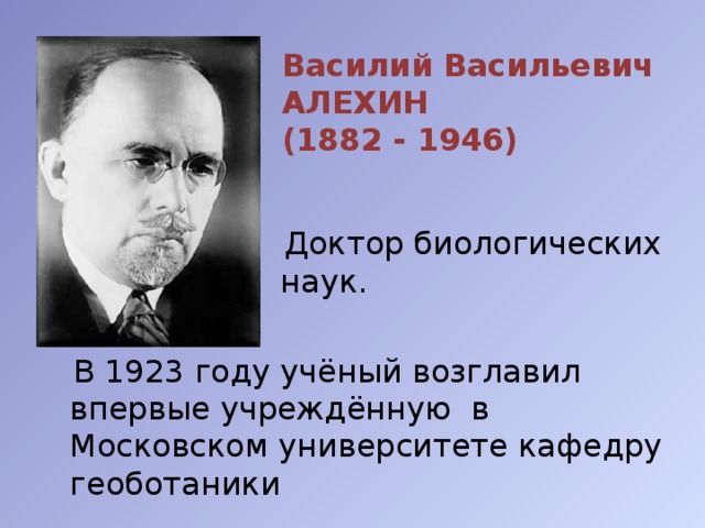 Василий Васильевич АЛЕХИН  (1882 - 1946)    Доктор биологических наук.  В 1923 году учёный возглавил впервые учреждённую в Московском университете кафедру геоботаники 
