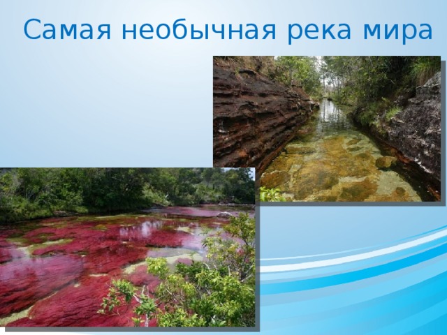 Самая необычная река мира 