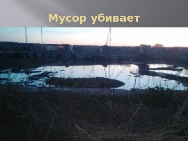 Мусор убивает 