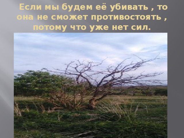  Если мы будем её убивать , то она не сможет противостоять , потому что уже нет сил. 