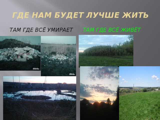  ГДЕ НАМ БУДЕТ ЛУЧШЕ ЖИТЬ Там где всё умирает Там где всё живёт   