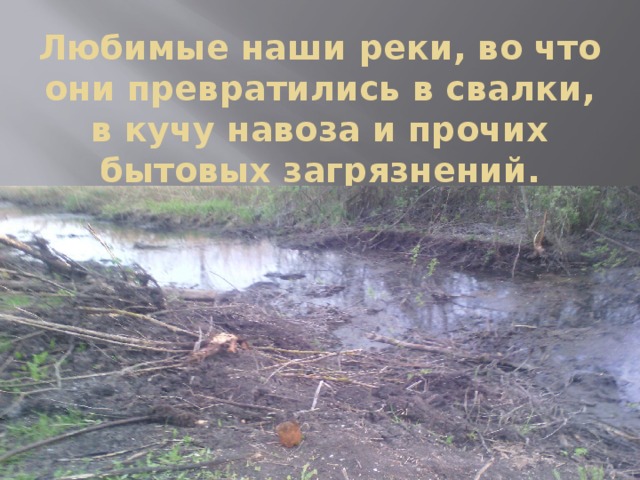 Любимые наши реки, во что они превратились в свалки, в кучу навоза и прочих бытовых загрязнений. 