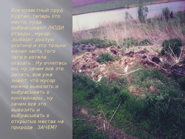 Все известный пруд Курган, теперь это место, куда выбрасывают ЛЮДИ отходы , мусор ,вывозят дохлую скотину и это только малая часть того чего я хотела сказать . Ну очнитесь вы, ну зачем всё это делать, все уже знают, что мусор можно вывозить и выбрасывать в контейнеры , ну зачем всё это вывозить и выбрасывать в открытых местах на природе . ЗАЧЕМ? 