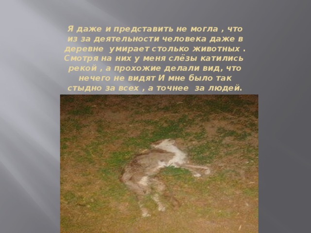 Я даже и представить не могла , что из за деятельности человека даже в деревне умирает столько животных . Смотря на них у меня слёзы катились рекой , а прохожие делали вид, что нечего не видят И мне было так стыдно за всех , а точнее за людей. Вставка рисунка 