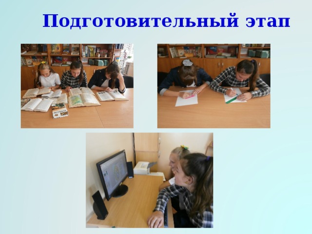 Подготовительный этап 