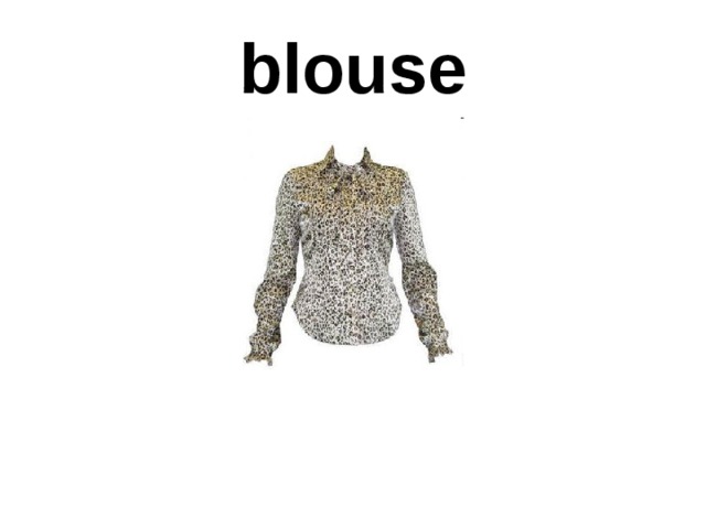 blouse 
